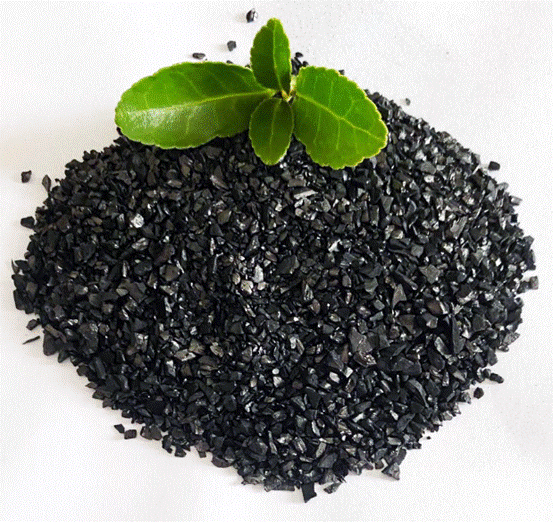 चांदी ने सक्रिय कार्बन